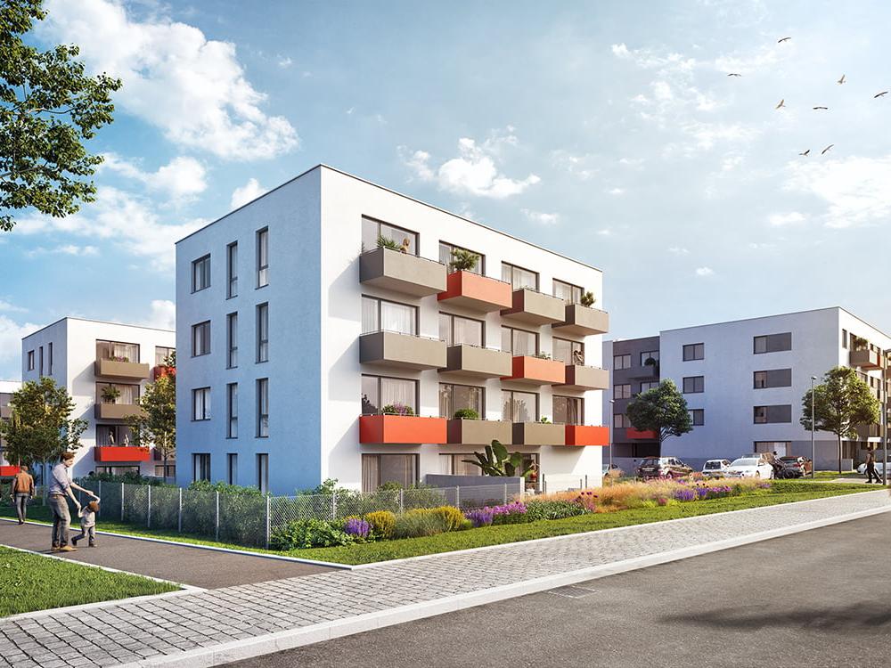 Pronajem bytu celý pokoj 12 m2