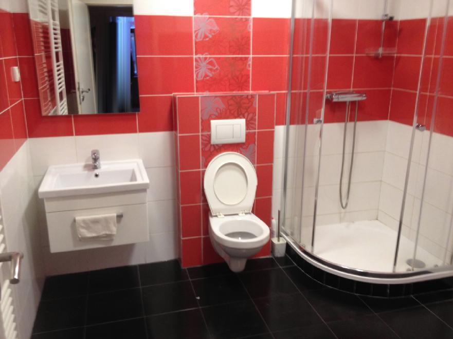 Spolubydleni bytu celý pokoj 110 m2
