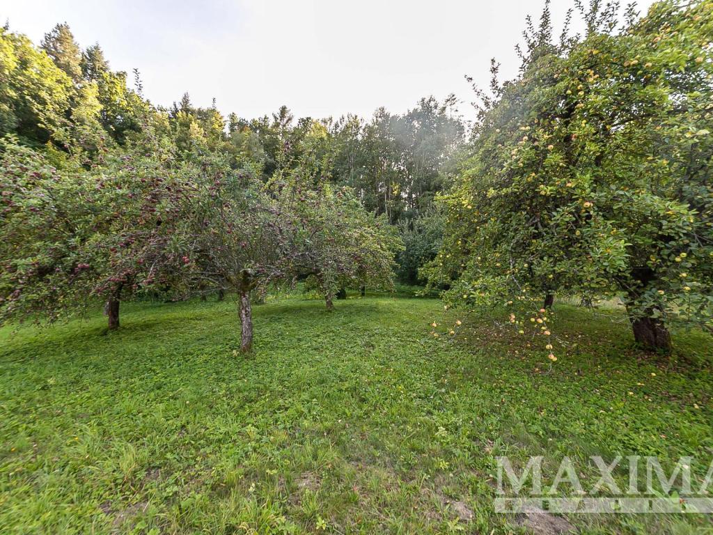Prodej pozemku 3738 m2, Hrubá Skála – náhled fotky 11