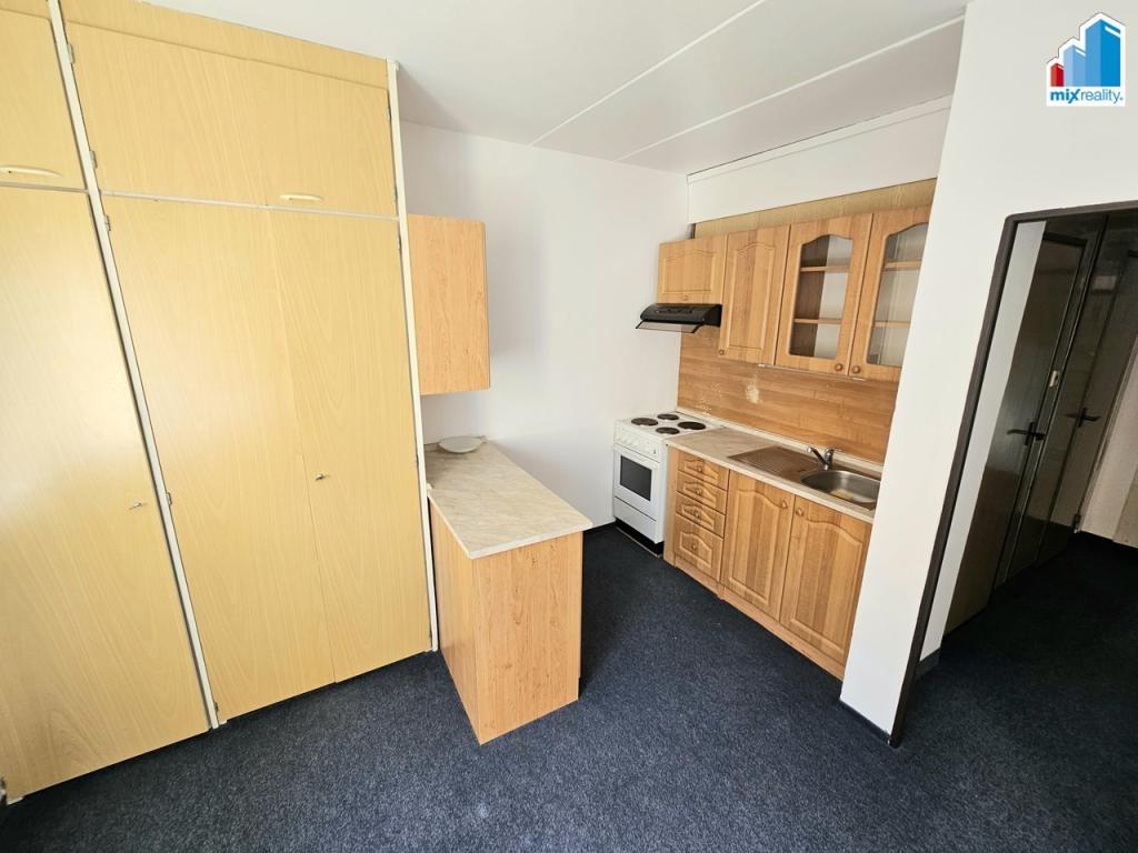 Pronájem bytu 1+1 39 m2