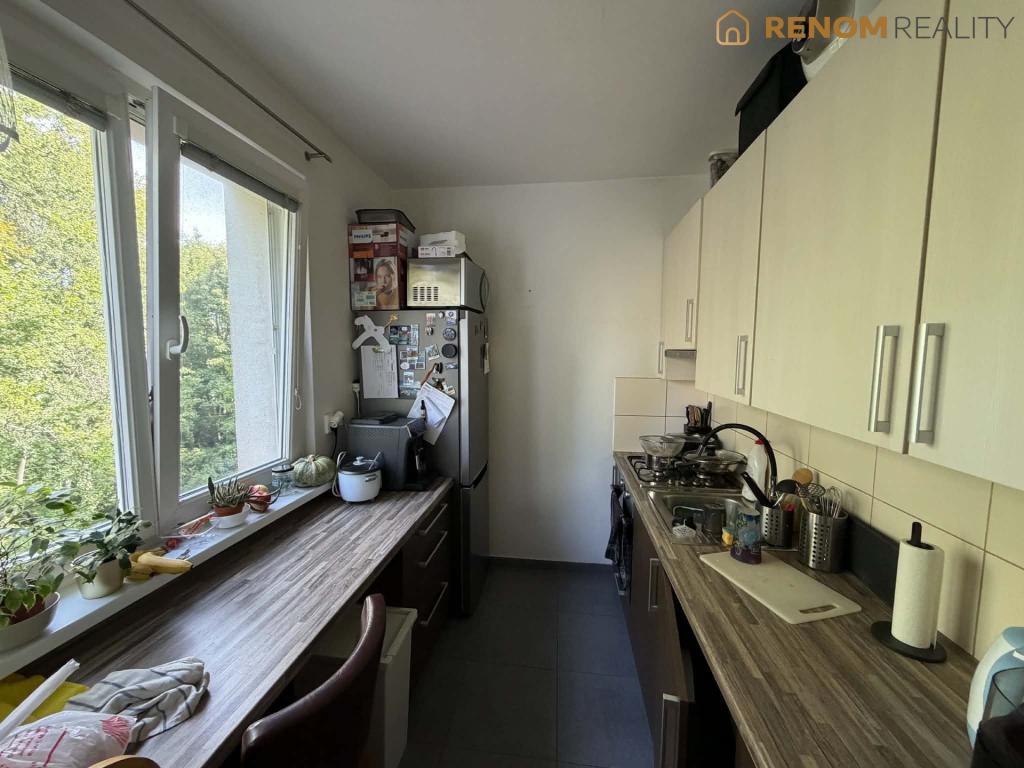 Pronájem bytu 3+1 64 m2
