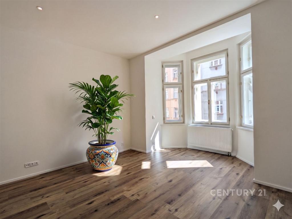 Pronájem bytu 2+1 54 m2