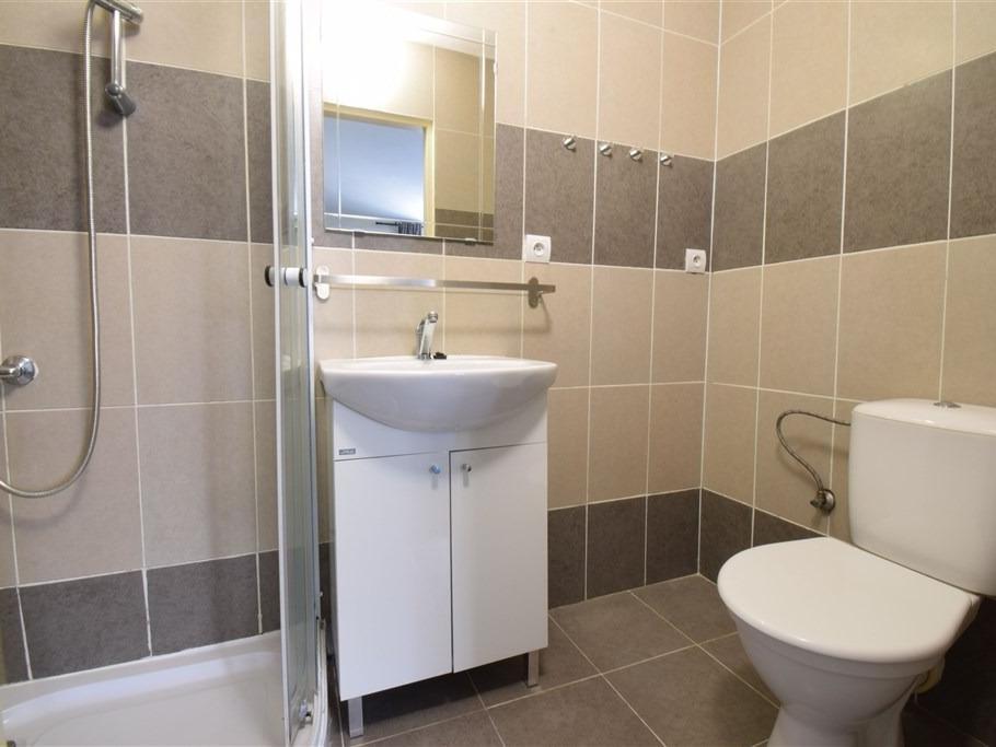 Pronájem bytu 1+kk 30 m2, Brno – náhled fotky 9