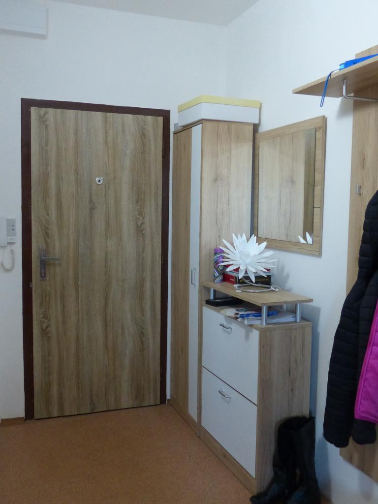 Pronájem bytu 1+1 40 m2