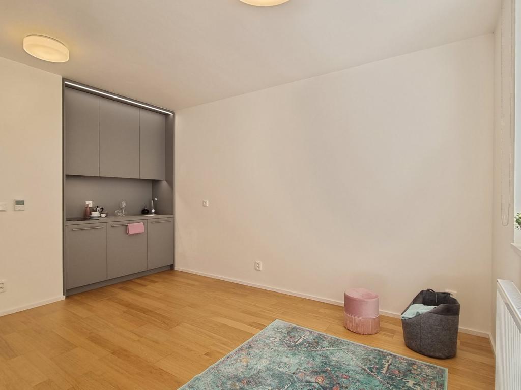 1-room apartment for rent · 24 m² · Brno — 573 €/mo