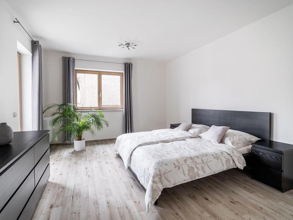 Pronájem bytu 3+kk 89 m2