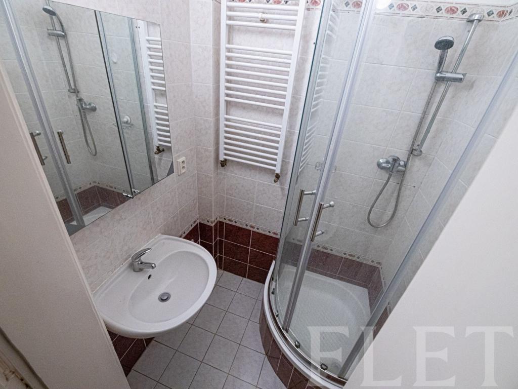 Pronájem bytu 2+1 64 m2, Praha – náhled fotky 16