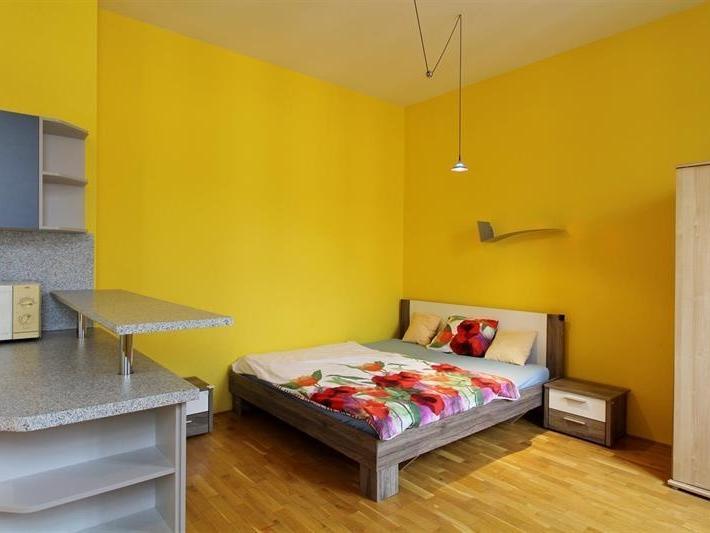 1+kk Apartment in Brno, Veveří - View 5