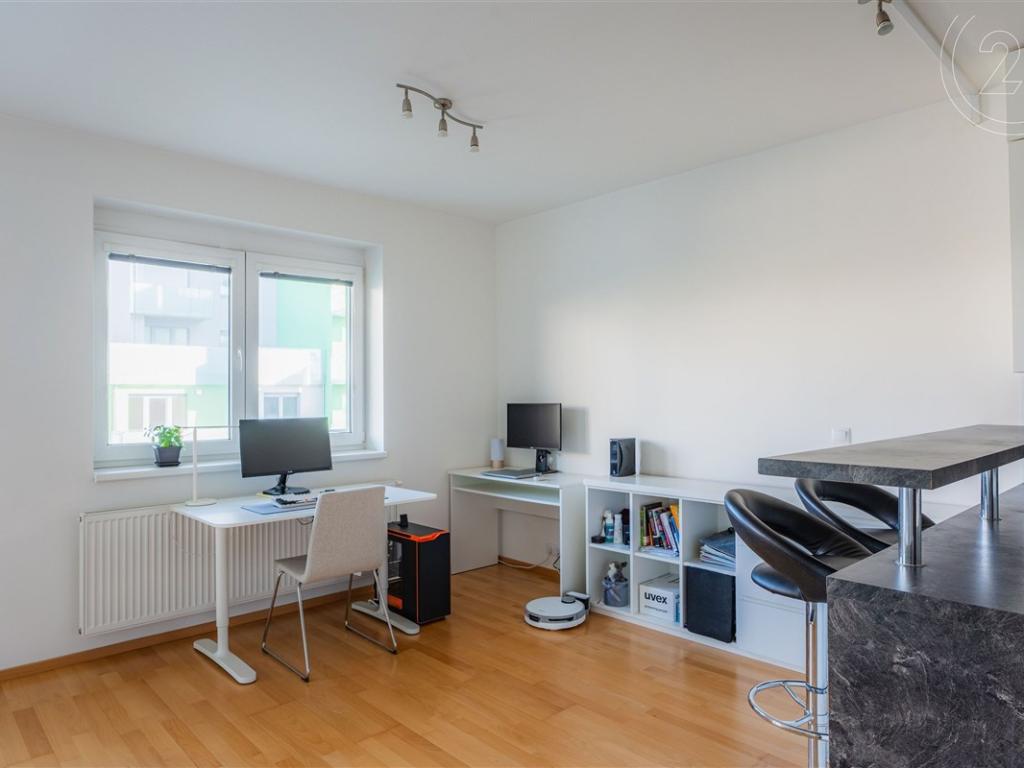 Pronájem bytu 1+kk 46 m2