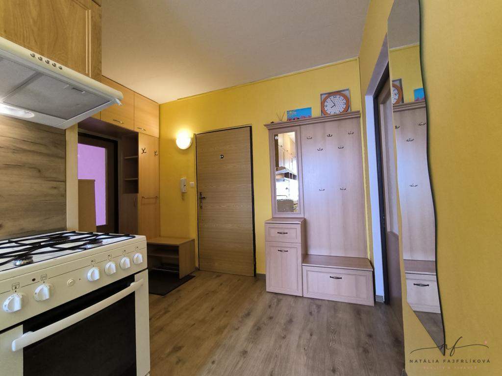 Pronájem bytu 2+1 55 m2
