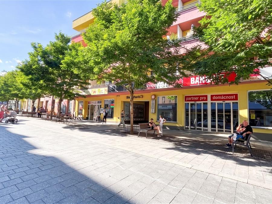 Pronájem bytu 1+kk 44 m2, Benešov – náhled fotky 12