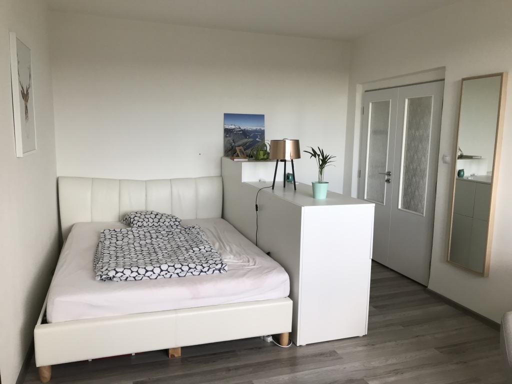 Pronájem bytu 1+1 40 m2