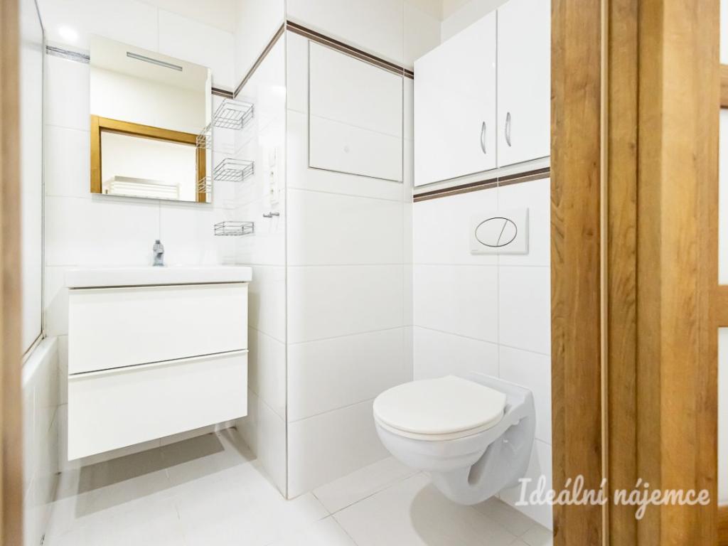 Pronájem bytu 2+1 55 m2