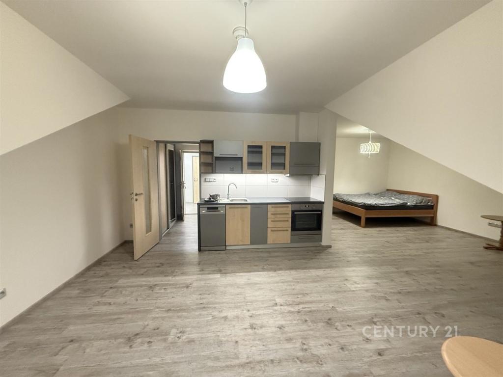 Pronájem bytu 1+kk 48 m2