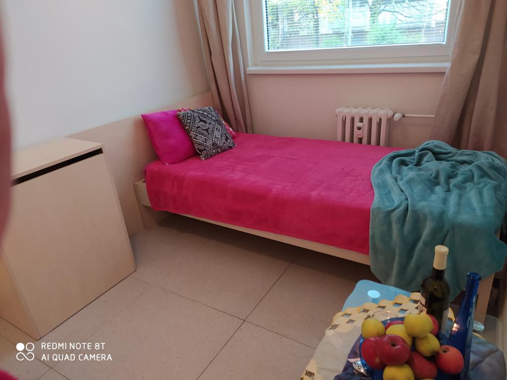 Pronajem bytu 1+kk 19 m2