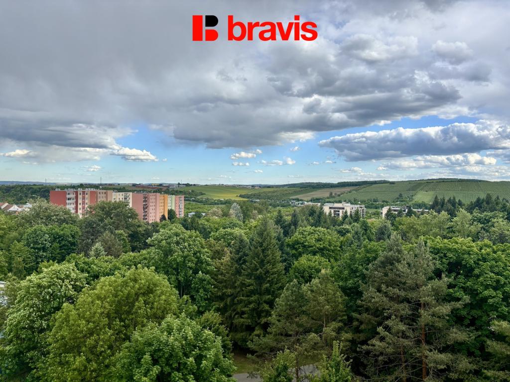 Ostatní