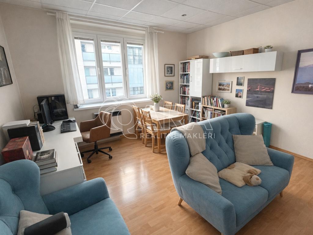 Pronájem bytu 2+1 46 m2