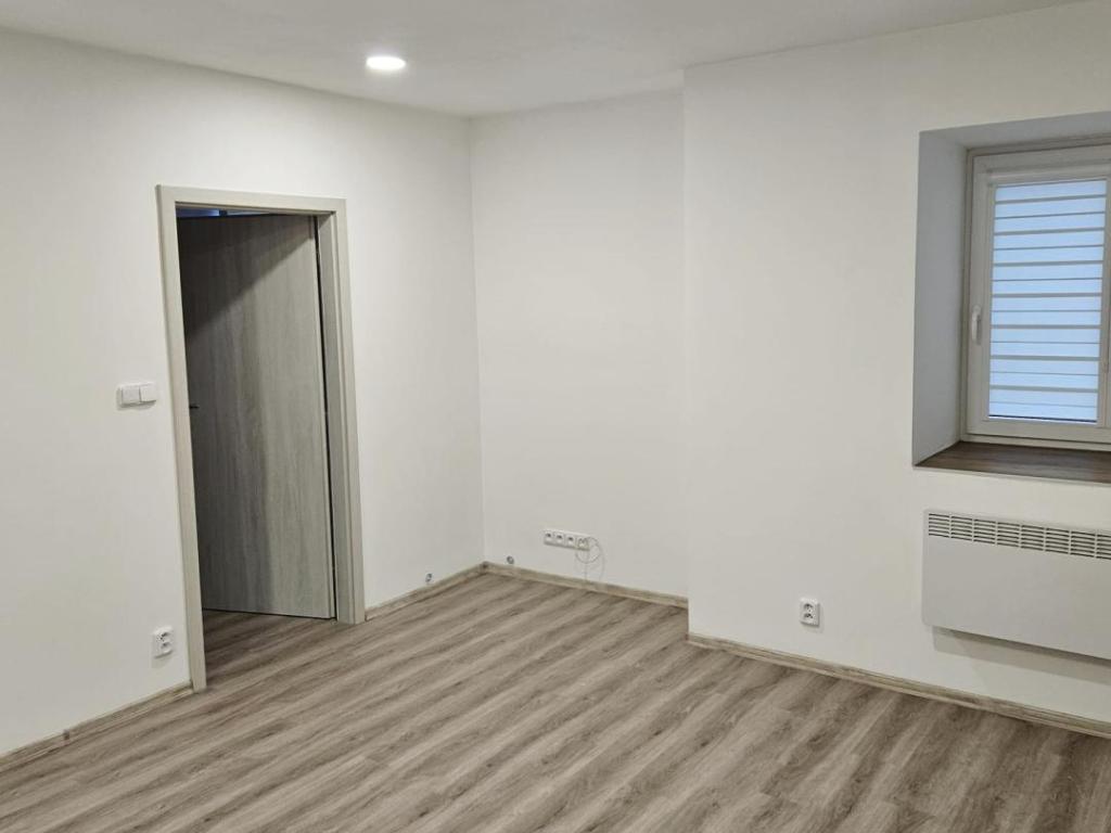 Pronájem bytu 1+1 58 m2