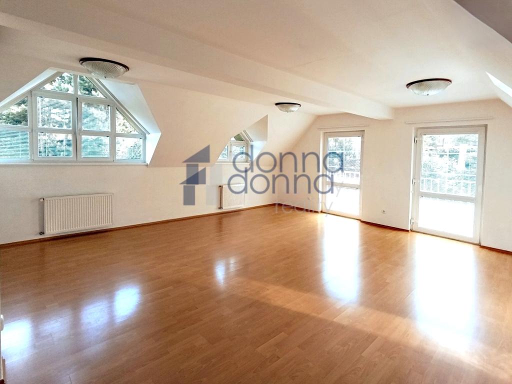 Pronájem domu 251 m2