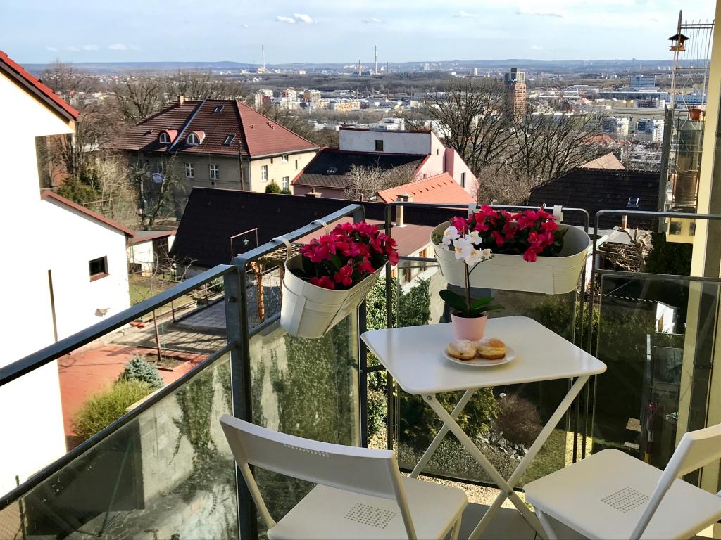 Pronajem bytu 1+kk 47 m2