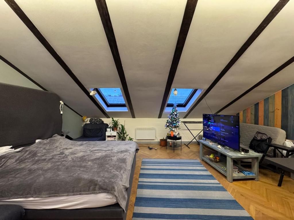 Prodej bytu 1+kk 45 m2
