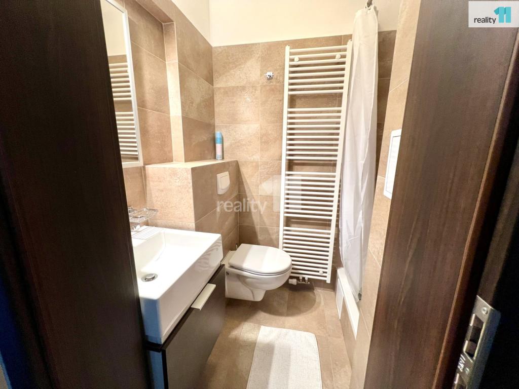 Pronájem bytu 1+kk 30 m2