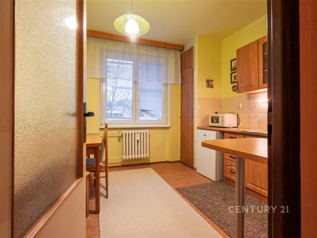 Pronájem bytu 1+1 42 m2