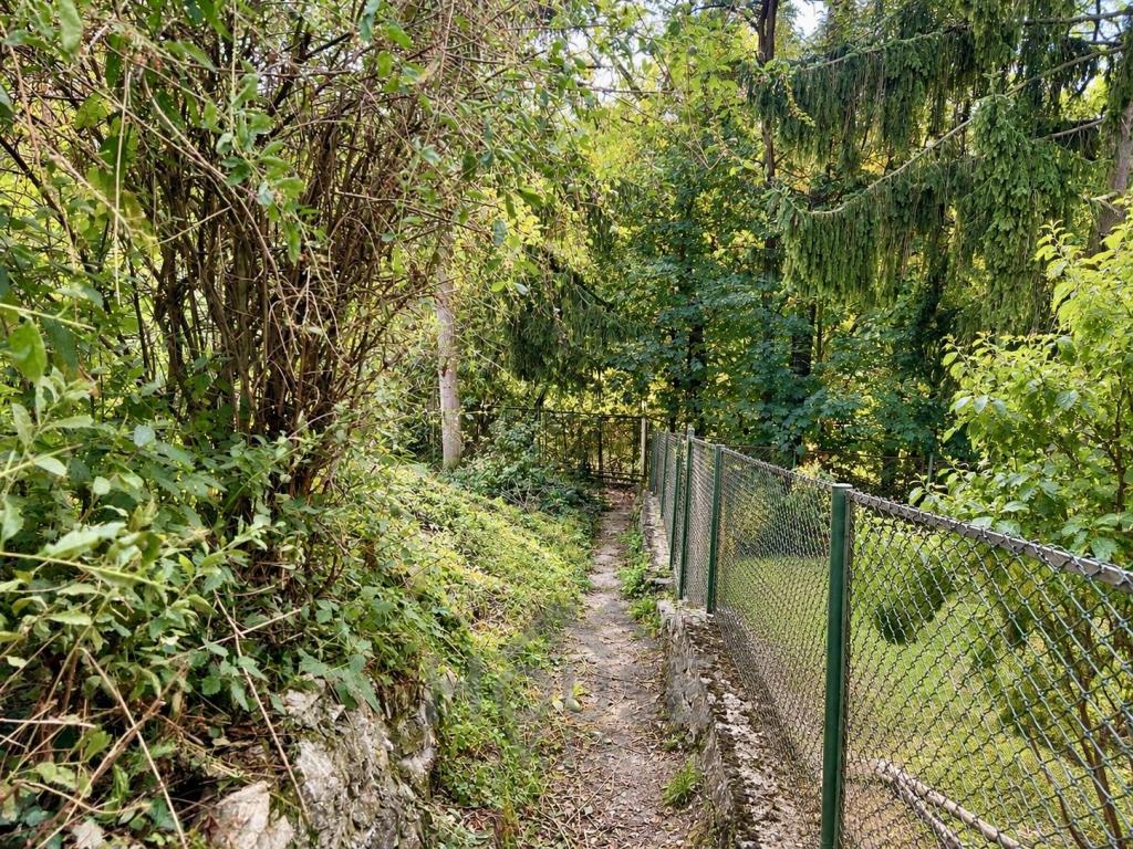 Prodej domu 135 m2, Praha – náhled fotky 29