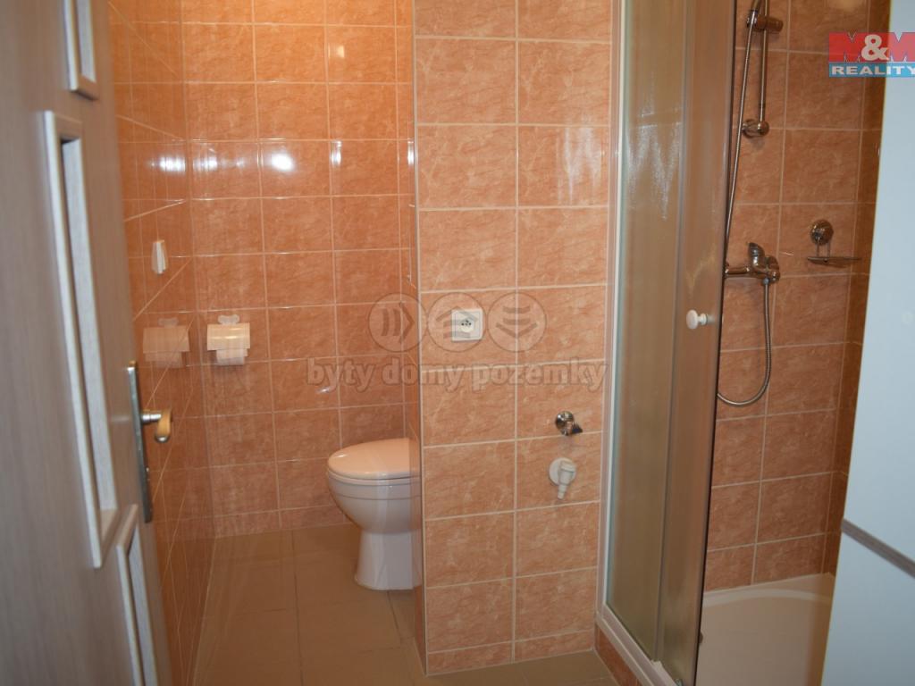 Pronajem bytu 2+kk 42 m2