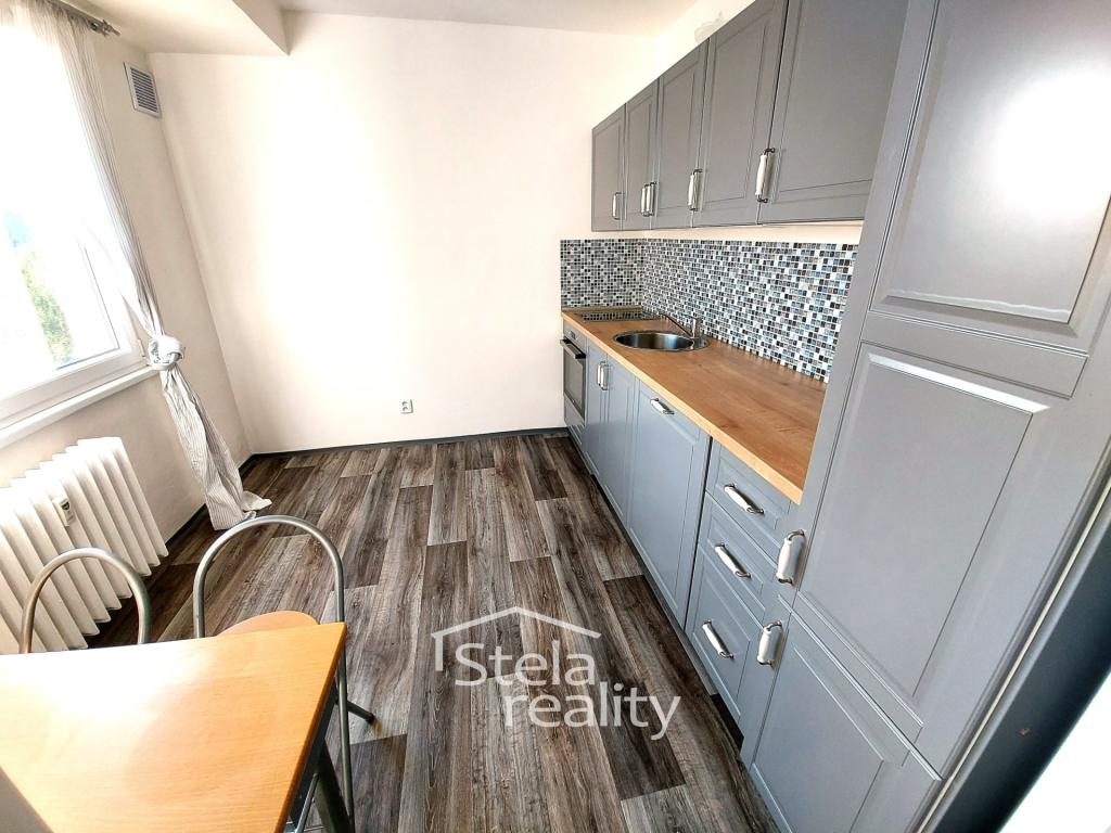 Pronájem bytu 1+1 42 m2