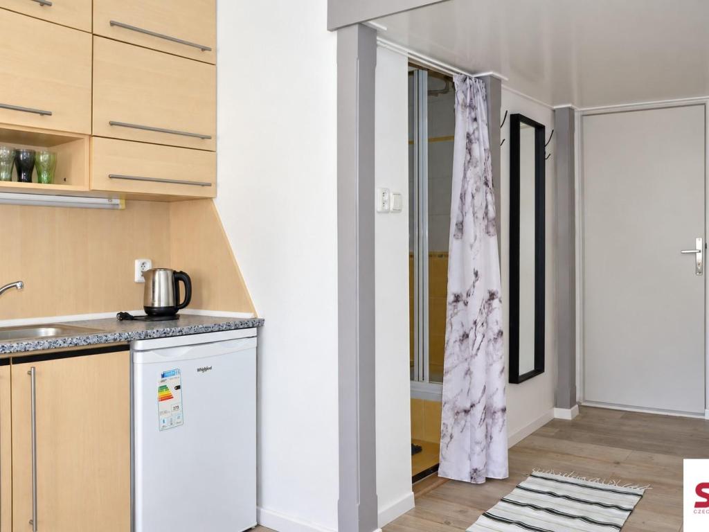 Pronájem bytu 1+kk 17 m2