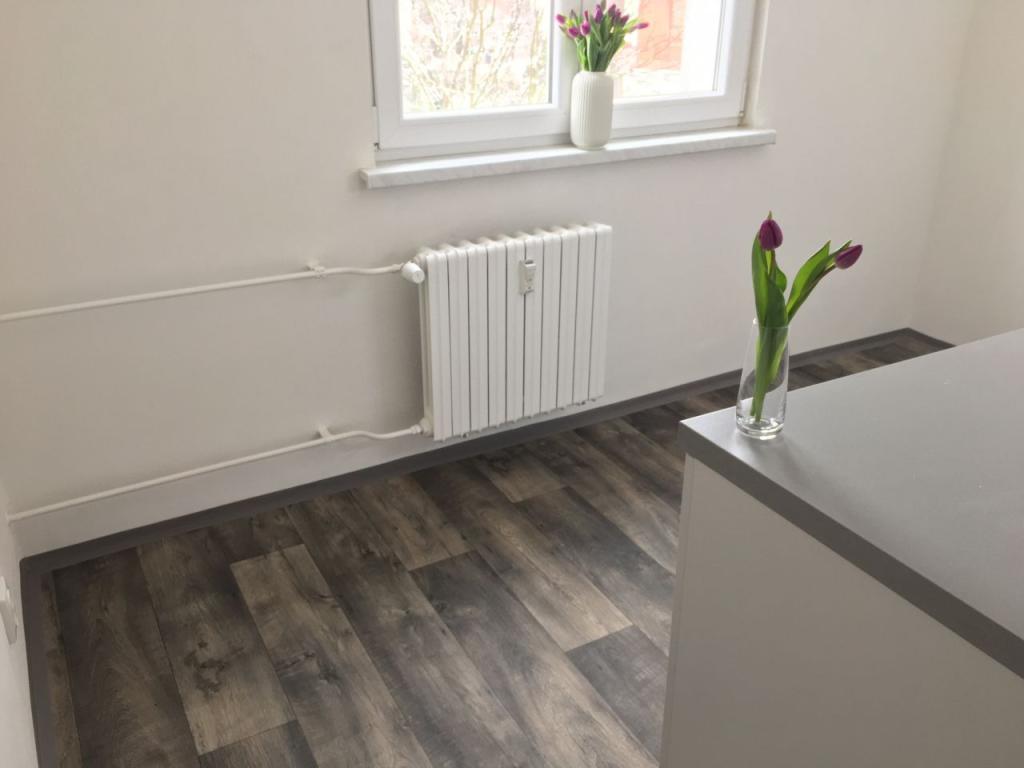 Pronájem bytu 2+1 52 m2