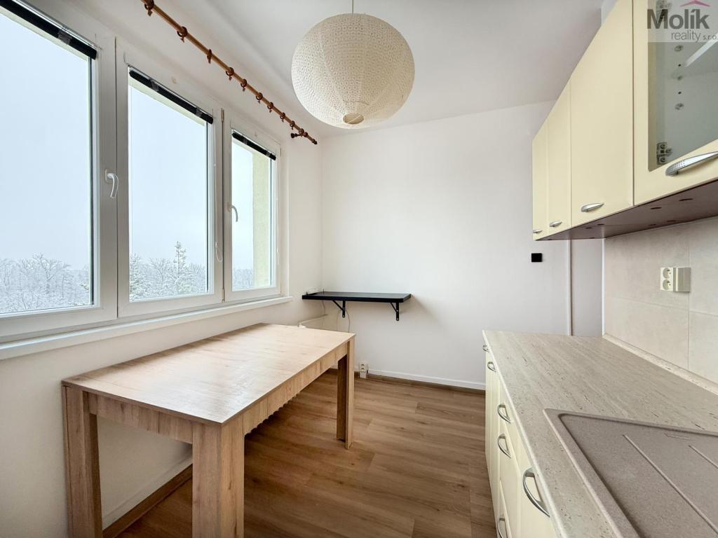 Pronájem bytu 2+1 52 m2
