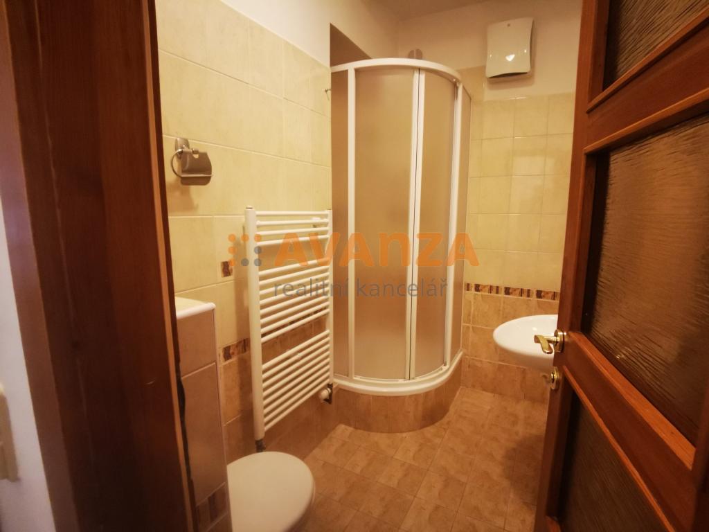 Pronájem bytu 2+1 65 m² – pohled 6