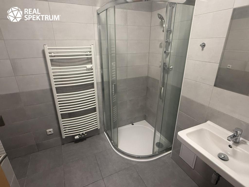 Pronájem bytu 1+kk 41 m2
