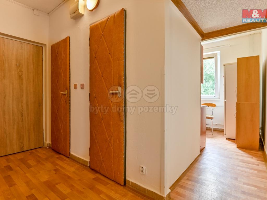Pronajem bytu 2+1 55 m2