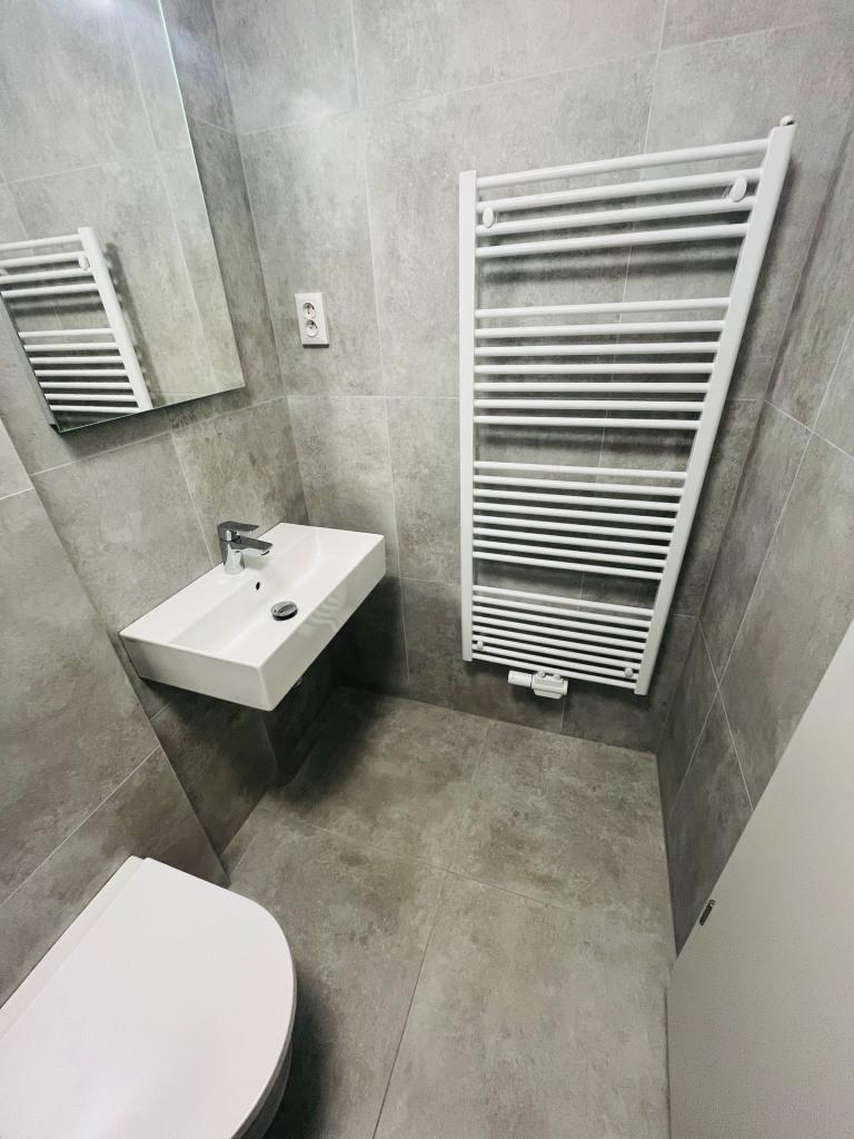 Pronájem bytu 1+kk 60 m2