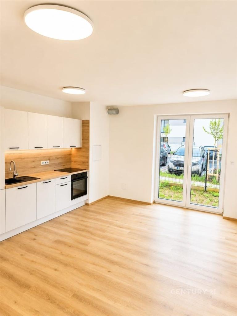 Pronájem bytu 1+kk 39 m2