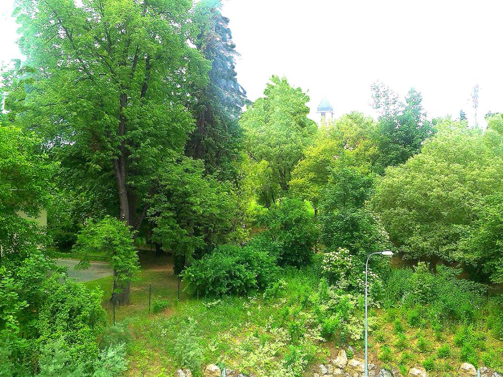 Pronájem bytu 2+kk 55 m2, Brno – náhled fotky 21