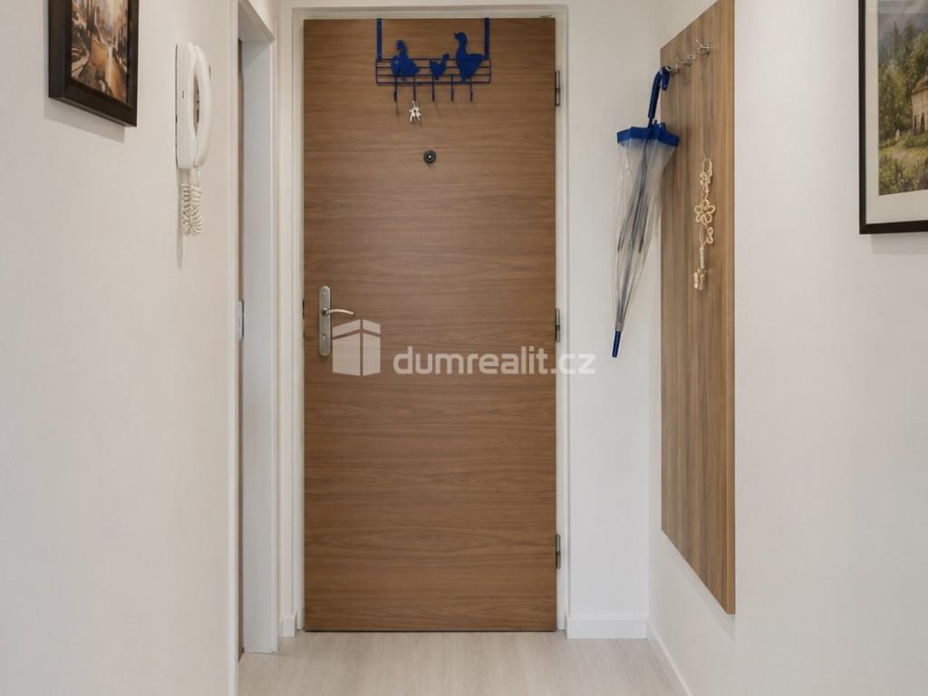Pronájem bytu 1+1 37 m2