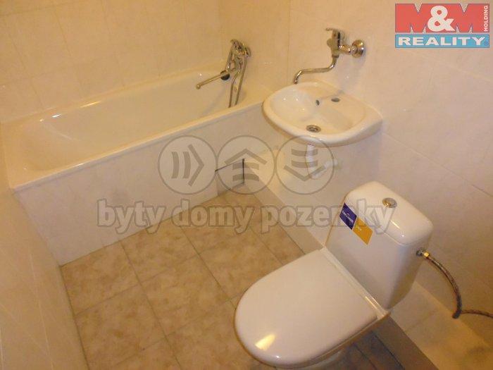 Pronajem bytu 2+1 50 m2