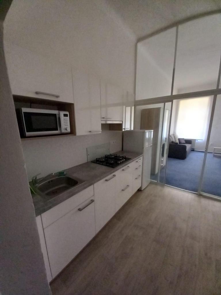 Pronajem bytu 1+kk 41 m2