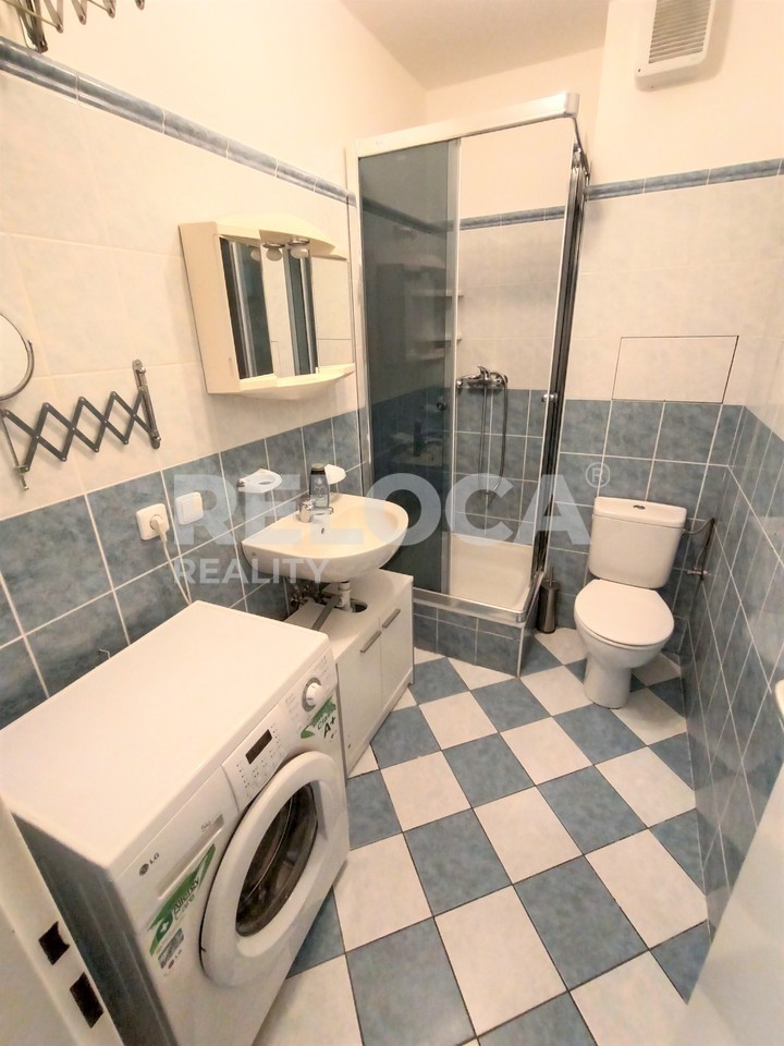 Pronájem bytu 1+1 40 m² – další
