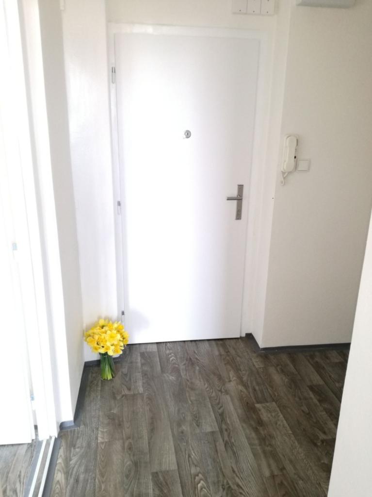 Pronájem bytu 1+1 39 m2