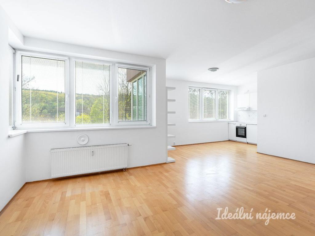 Pronájem bytu 1+kk 46 m2