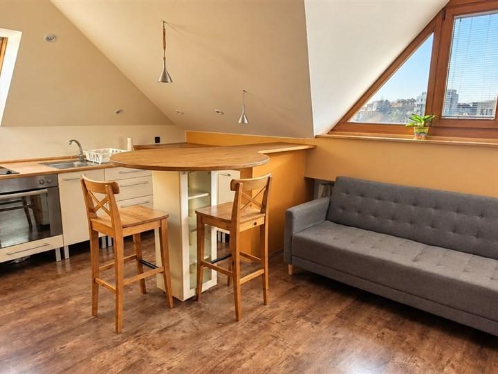 Pronájem bytu 1+kk 50 m2, Brno – náhled fotky 2