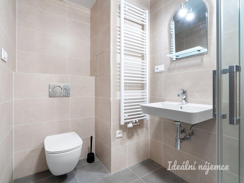 Pronájem bytu 1+kk 33 m2