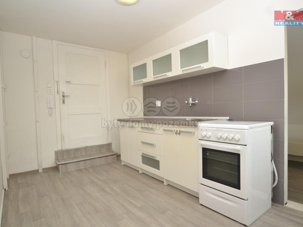 Pronajem bytu 1+1 40 m2