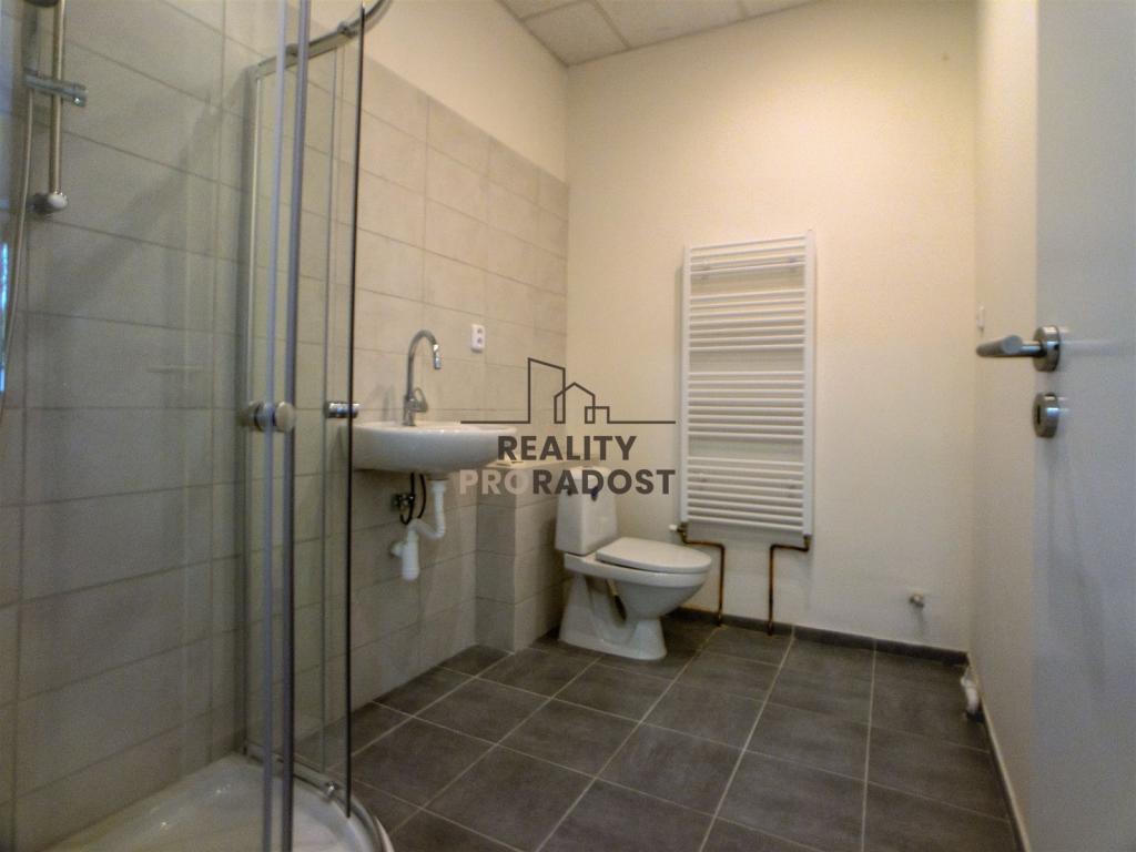Pronájem bytu 1+1 40 m2