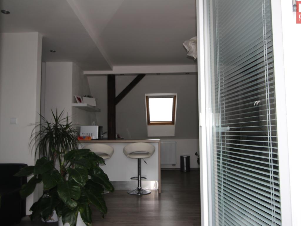 Pronájem bytu 1+kk 45 m2